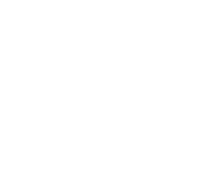 Orbex Logo White